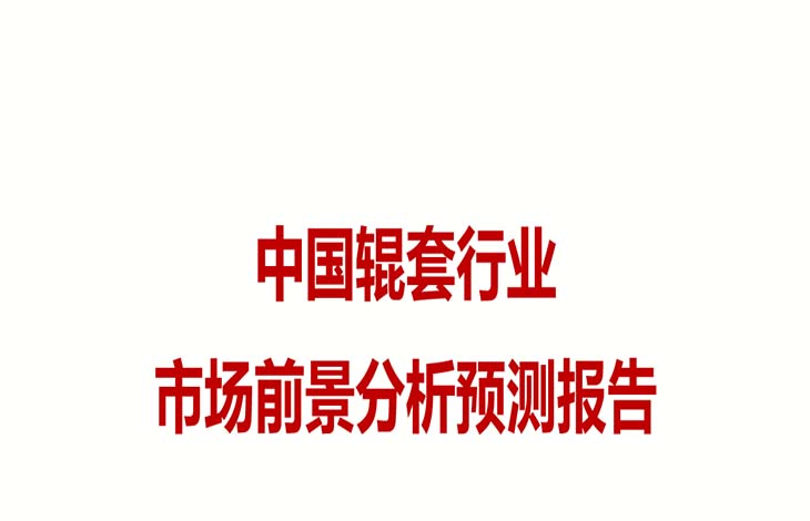 【潤康】分析中國高鉻輥套行業市場前景預測報告